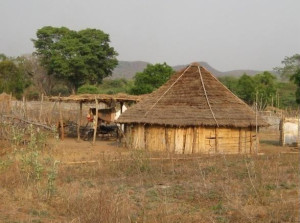 Gundu Gudisa a chenchu style hut